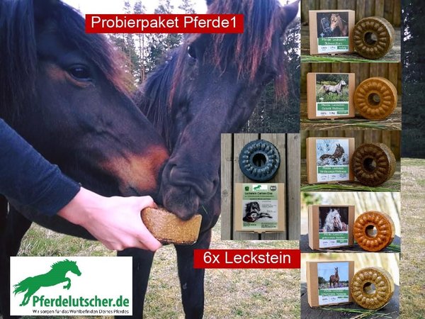 Pferdelutscher Leckstein Schwarzkorn | Immunsystem| Verdauung