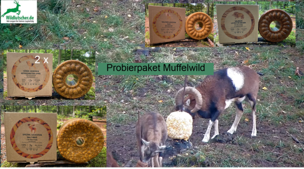 Wildlutscher Probierpaket Muffelwild  Nr.1 | lockt, bindet und lenkt Wild