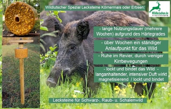 Wildlutscher Probierpaket Schwarzwild Nr.2 | lockt, bindet und lenkt Wild