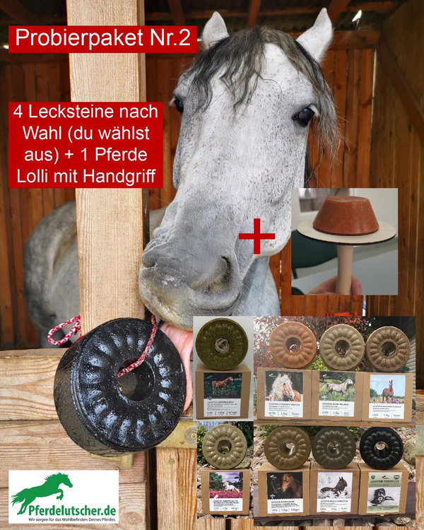 Pferdelutscher Probierpaket Nr.2   (4x Lecksteine/nach deiner Wahl) +1 Pferde Lolli mit Handgriff